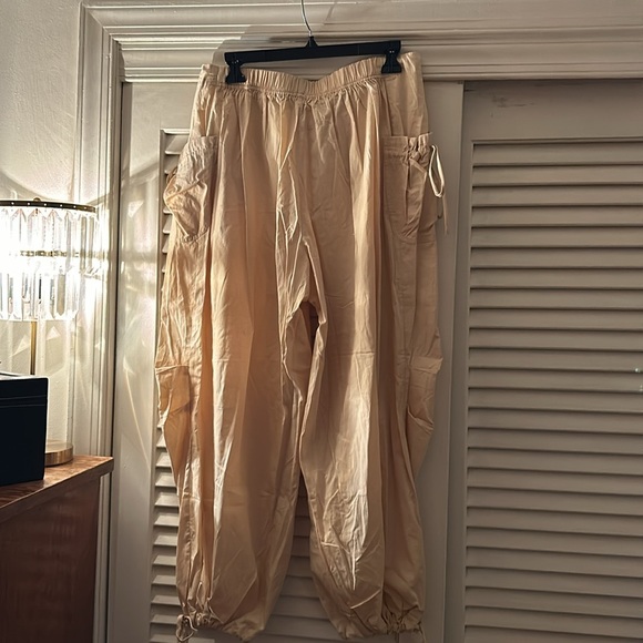 NWT - Free People Balloon Pants - Picture 4 of 6